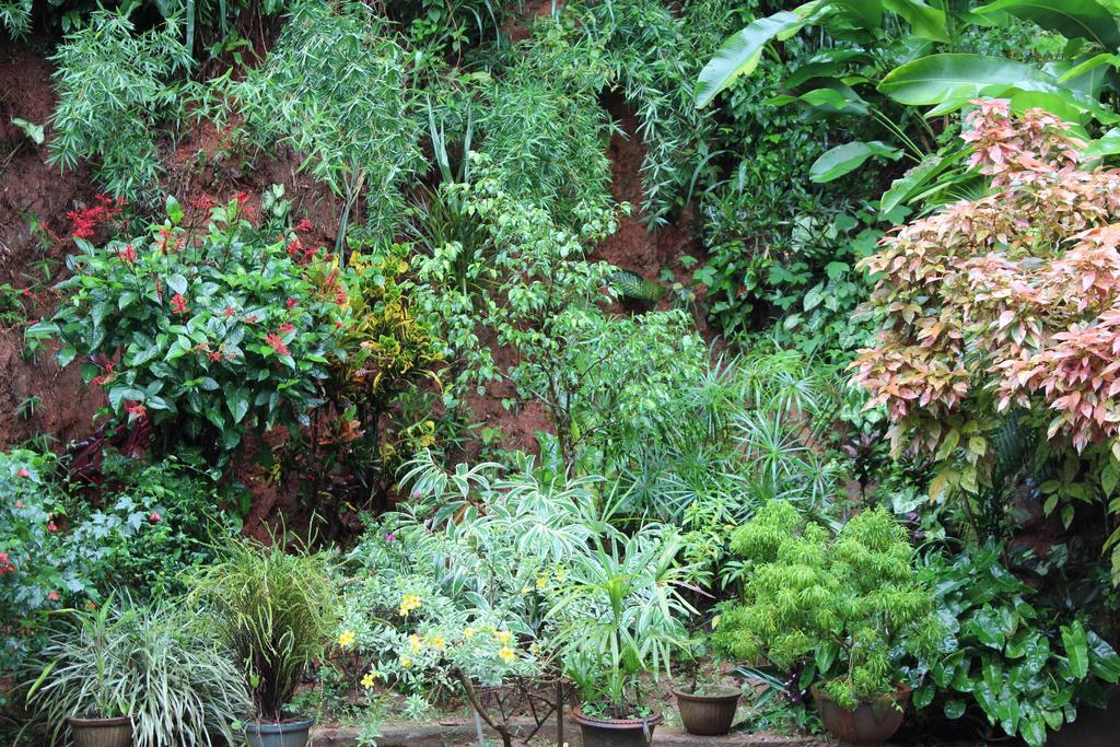 Anniewatte House Apartment Kandy Bagian luar foto